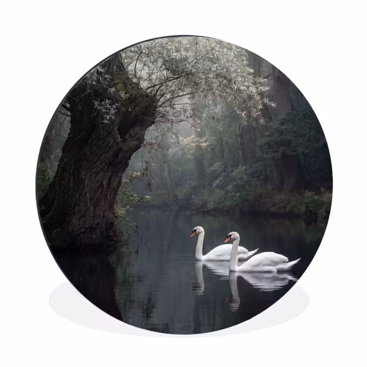 Wandcirkel - Aluminium - Zwanen - Rivier - Bos — 1
