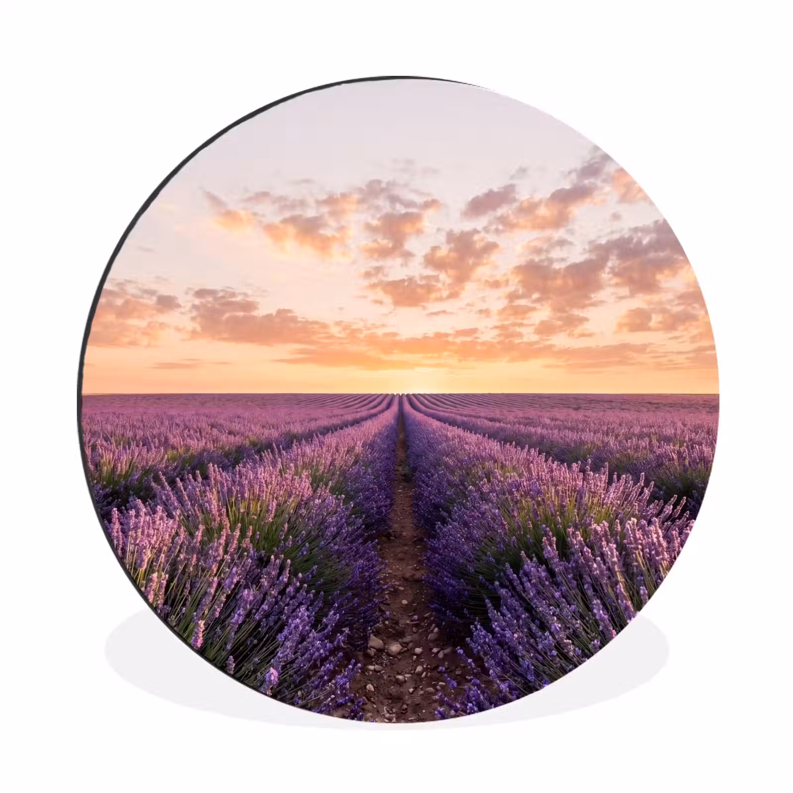 Wandcirkel - Aluminium - Landschap - Lavendelveld - Paars — 1