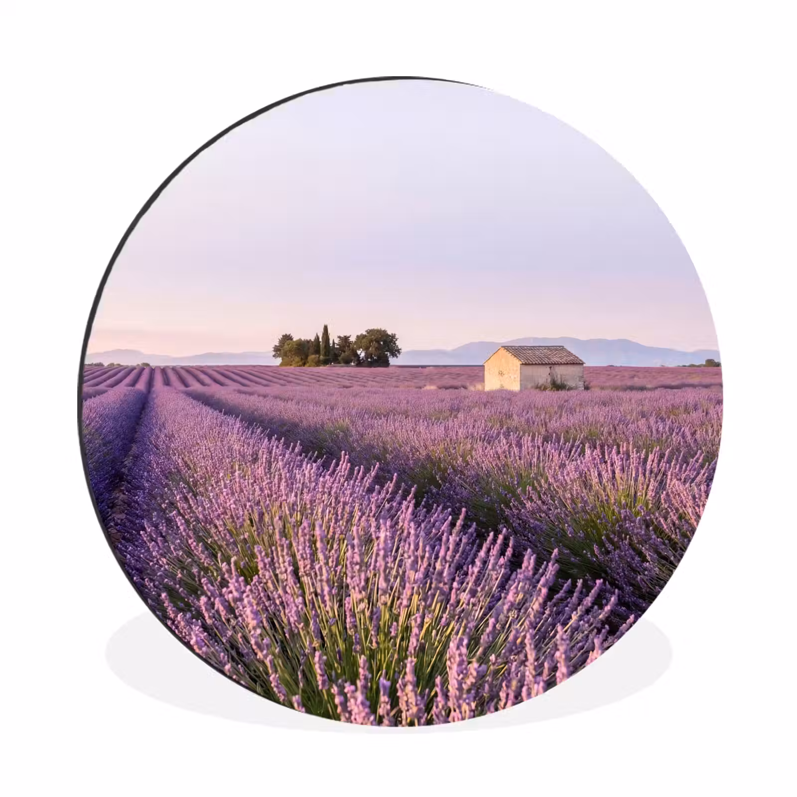Wandcirkel - Aluminium - Lavendel - Landschap - Sereen - Paars — 1