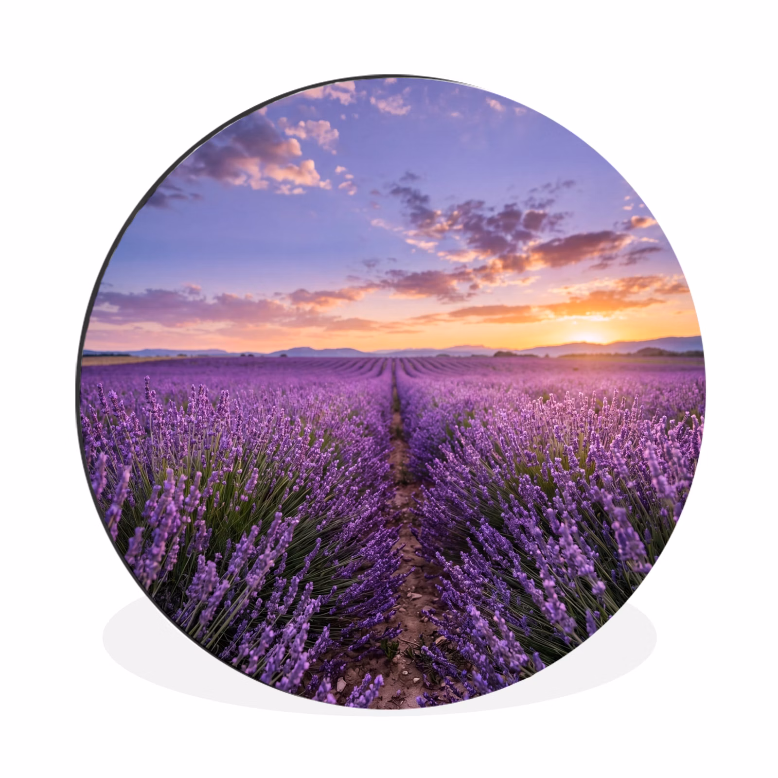 Wandcirkel - Aluminium - Lavendel - Veld - Natuur - Paars — 1