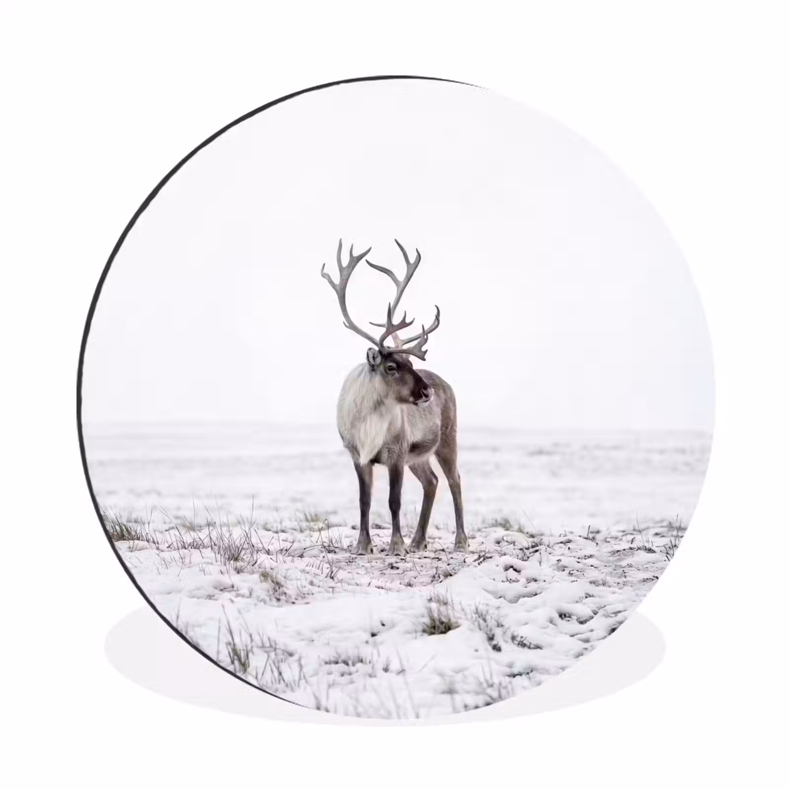 Wandcirkel - Aluminium - Rendier - Gewei - Sneeuw - Winter — 1