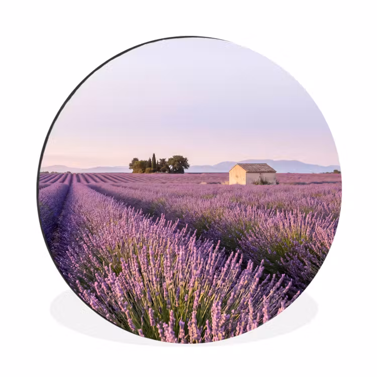 Wandcirkel - Aluminium - Lavendel - Landschap - Sereen - Paars — 1