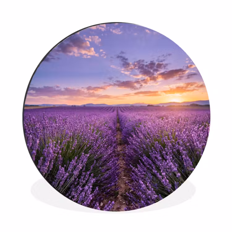 Wandcirkel - Aluminium - Lavendel - Veld - Natuur - Paars — 1