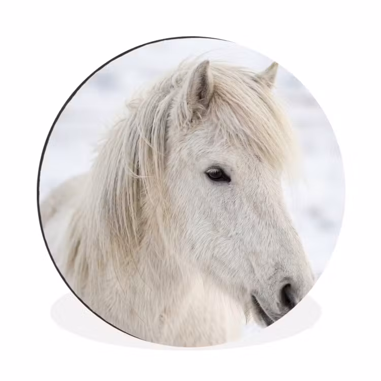 Wandcirkel - Aluminium - Paard - Kop - Winter - Dieren - Wit — 1