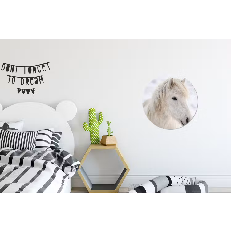 Wandcirkel - Aluminium - Paard - Kop - Winter - Dieren - Wit — 5