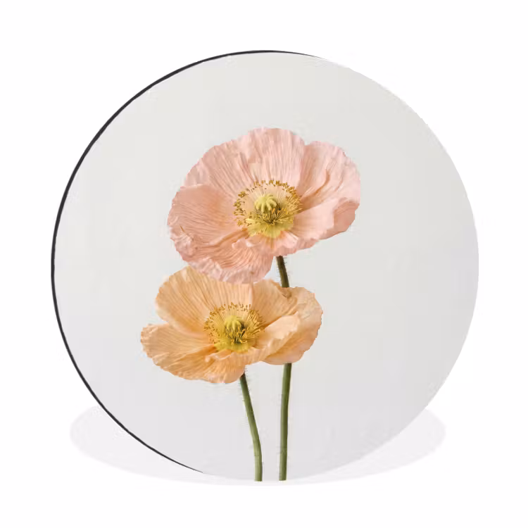 Wandcirkel - Aluminium - Papavers - Botanisch - Roze — 1
