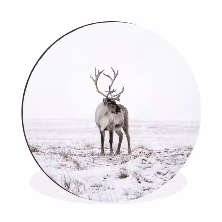 Wandcirkel - Aluminium - Rendier - Gewei - Sneeuw - Winter — 1