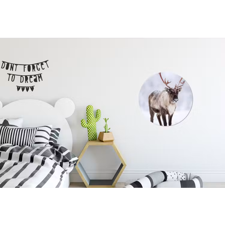 Wandcirkel - Aluminium - Rendier - Gewei - Toendra - Sneeuw - Wild — 5