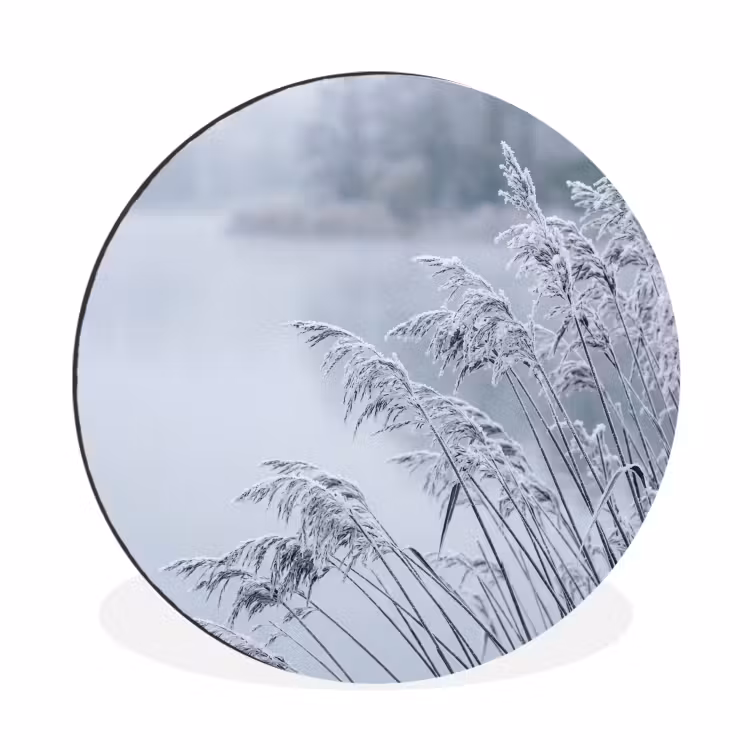 Wandcirkel - Aluminium - Riet - Bevroren - Winter - Natuur — 1