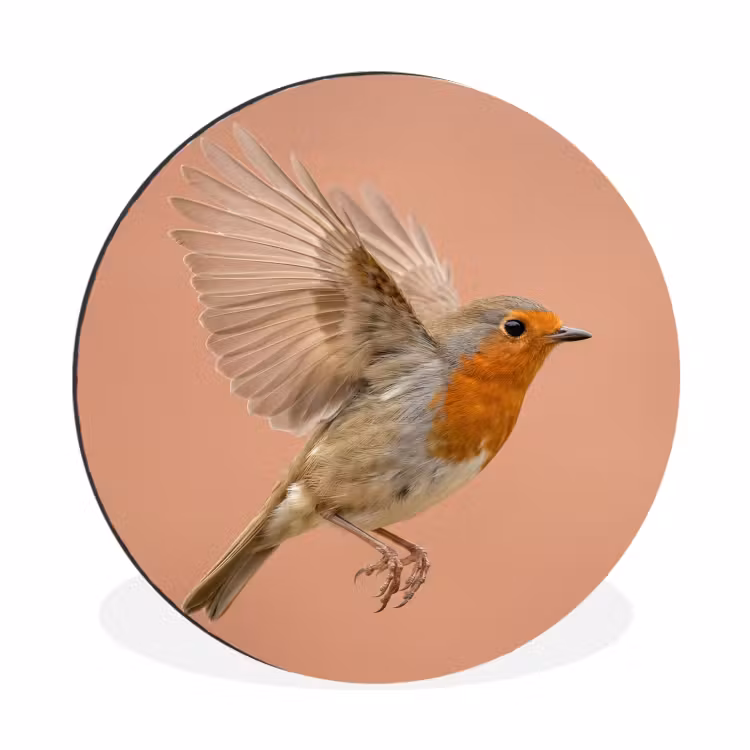 Wandcirkel - Aluminium - Roodborst - Natuur - Roze — 1