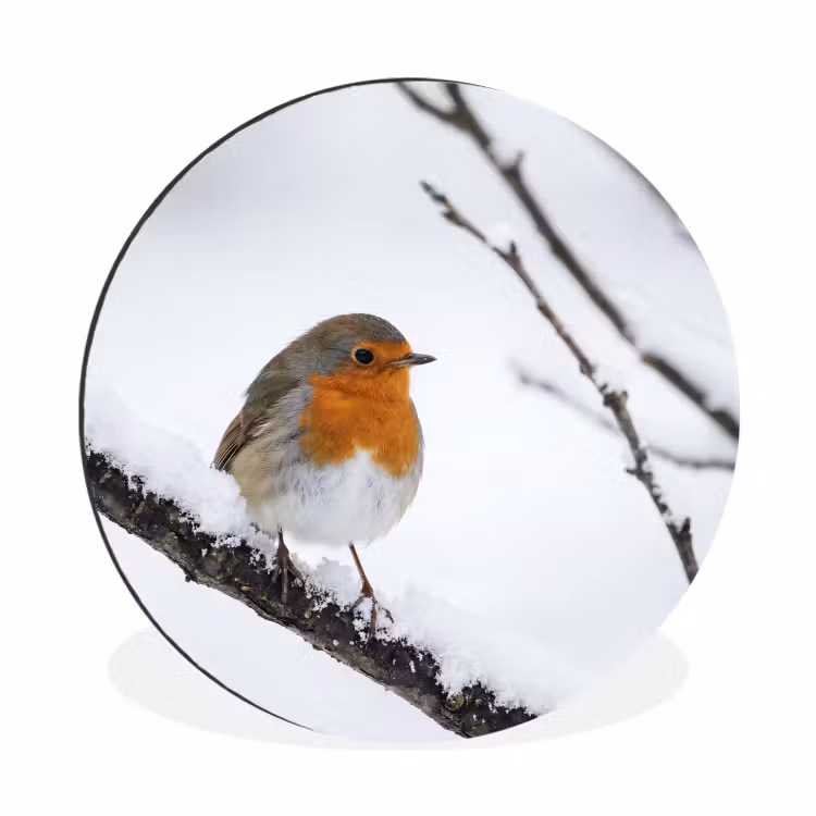 Wandcirkel - Aluminium - Roodborstje - Tak - Sneeuw - Winter - Levendig — 1