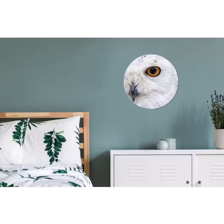 Wandcirkel - Aluminium - Sneeuwuil - Oog - Wildlife - Wit — 4