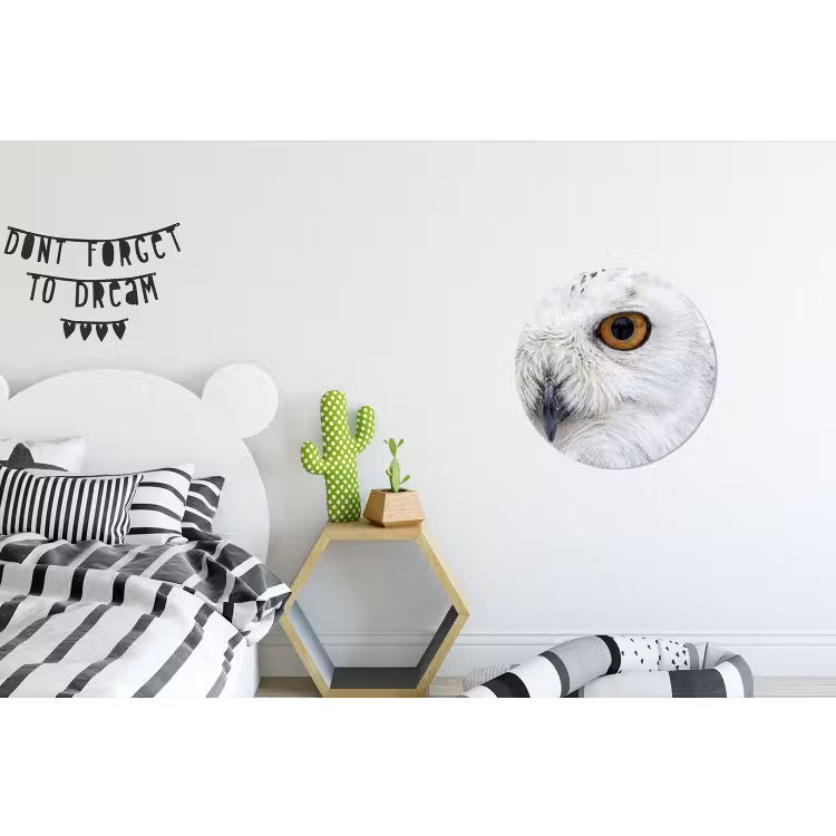 Wandcirkel - Aluminium - Sneeuwuil - Oog - Wildlife - Wit — 5