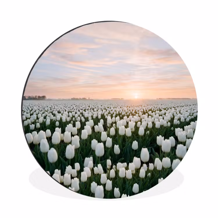 Wandcirkel - Aluminium - Tulpen - Landschap - Wit — 1