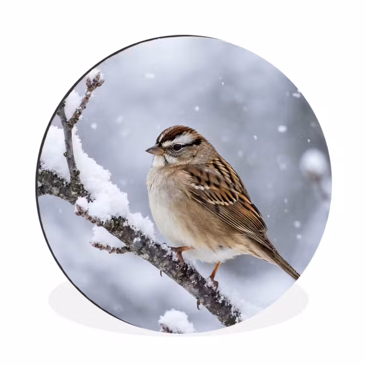 Wandcirkel - Aluminium - Vogel - Tak - Sneeuw - Winter — 1
