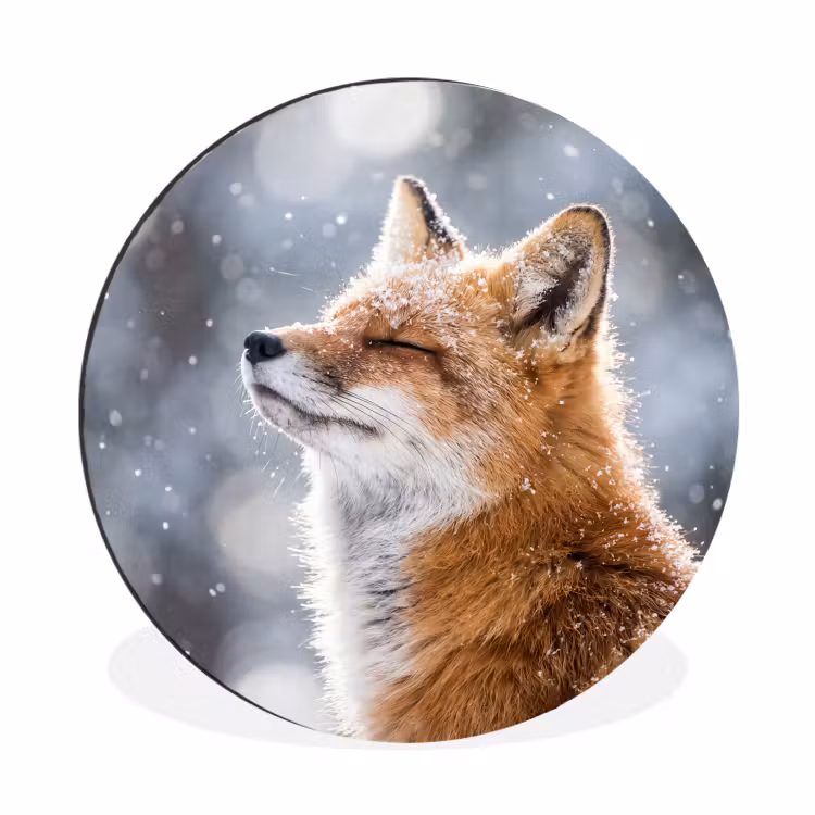 Wandcirkel - Aluminium - Vos - Sneeuwval - Portret - Winter - Sfeervol — 1