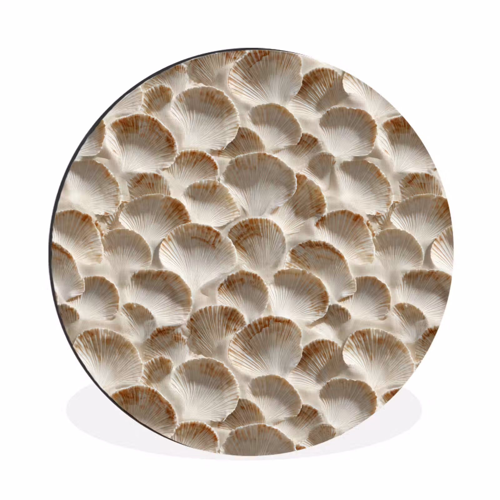 Wandcirkel - Aluminium - Schelpen - Waaiervorm - Wit — 1
