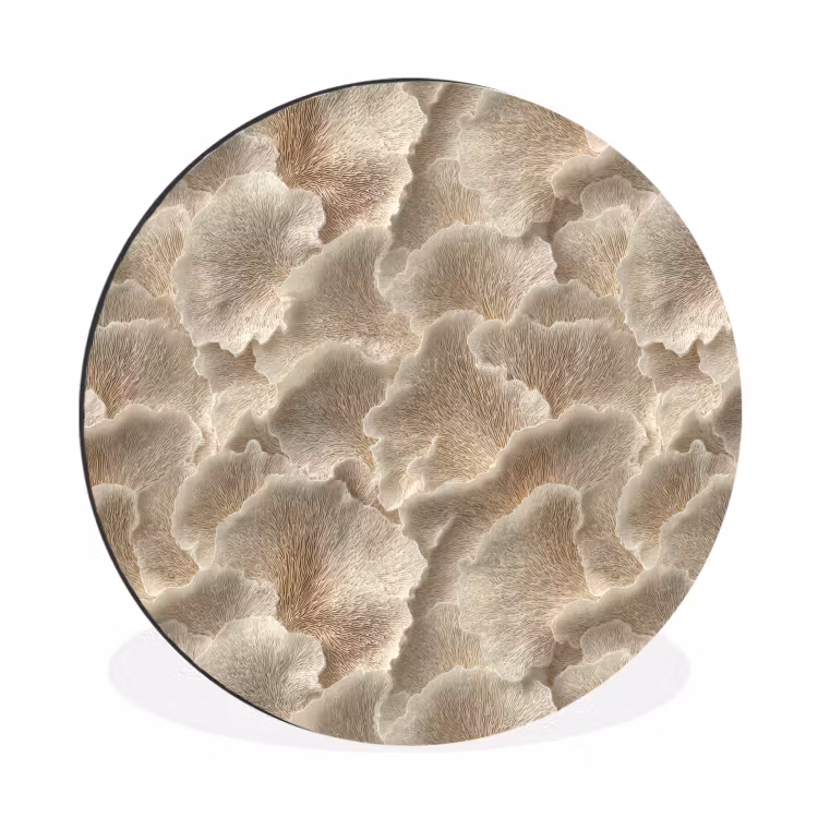 Wandcirkel - Aluminium - Waaierstructuren - Beige - Vezeltextuur — 1