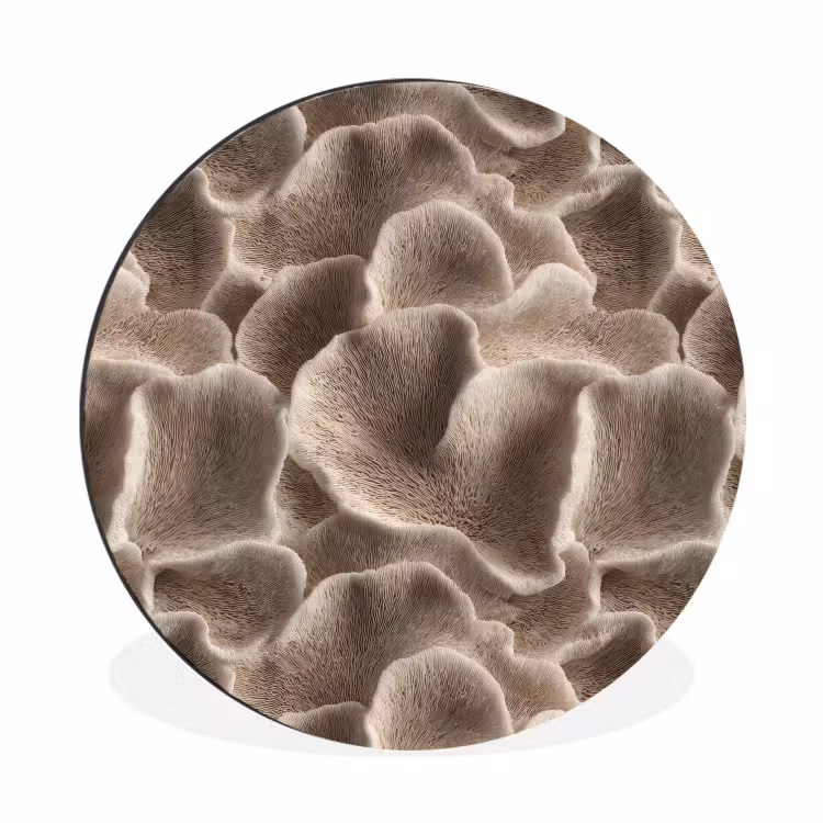 Wandcirkel - Aluminium - Waaiervorm - Beige - Vezel textuur — 1
