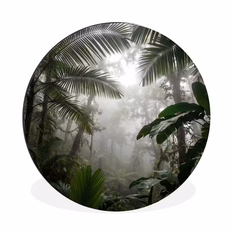 Wandcirkel - Aluminium - Natuur - Jungle - Mist - Groen - Bladeren — 1
