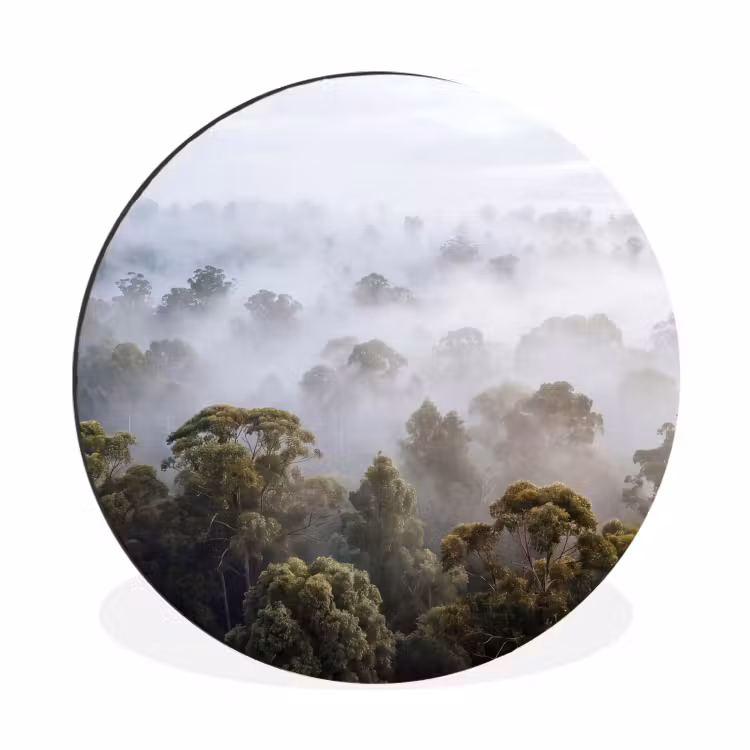Wandcirkel - Aluminium - Natuur - Mist - Bos - Ochtend - Goud — 1