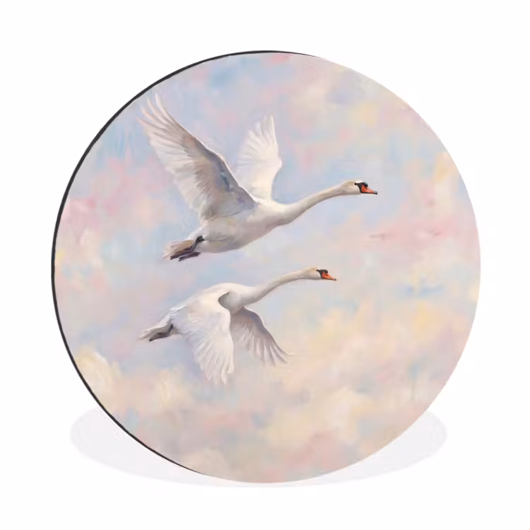 Wandcirkel - Aluminium - Vogel - Vliegend - Lucht - Modern - Pastel — 1