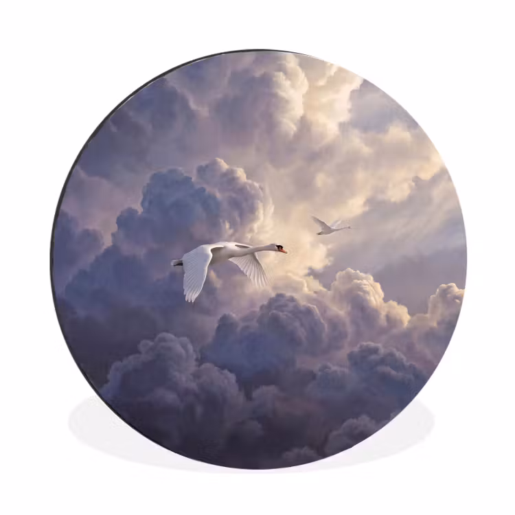 Wandcirkel - Aluminium - Vogel - Vliegend - Natuur - Wit - Wolken — 1