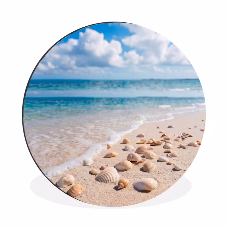 Wandcirkel - Aluminium - Schelpen - Strand - Natuur - Beige — 1