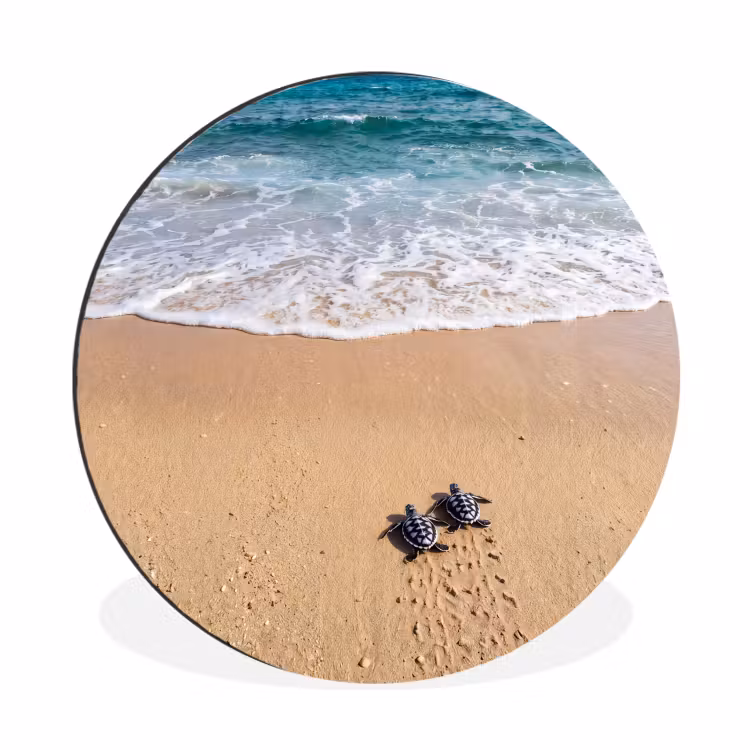 Wandcirkel - Aluminium - Schildpad - Jong - Strand - Oceaan - Blauw — 1