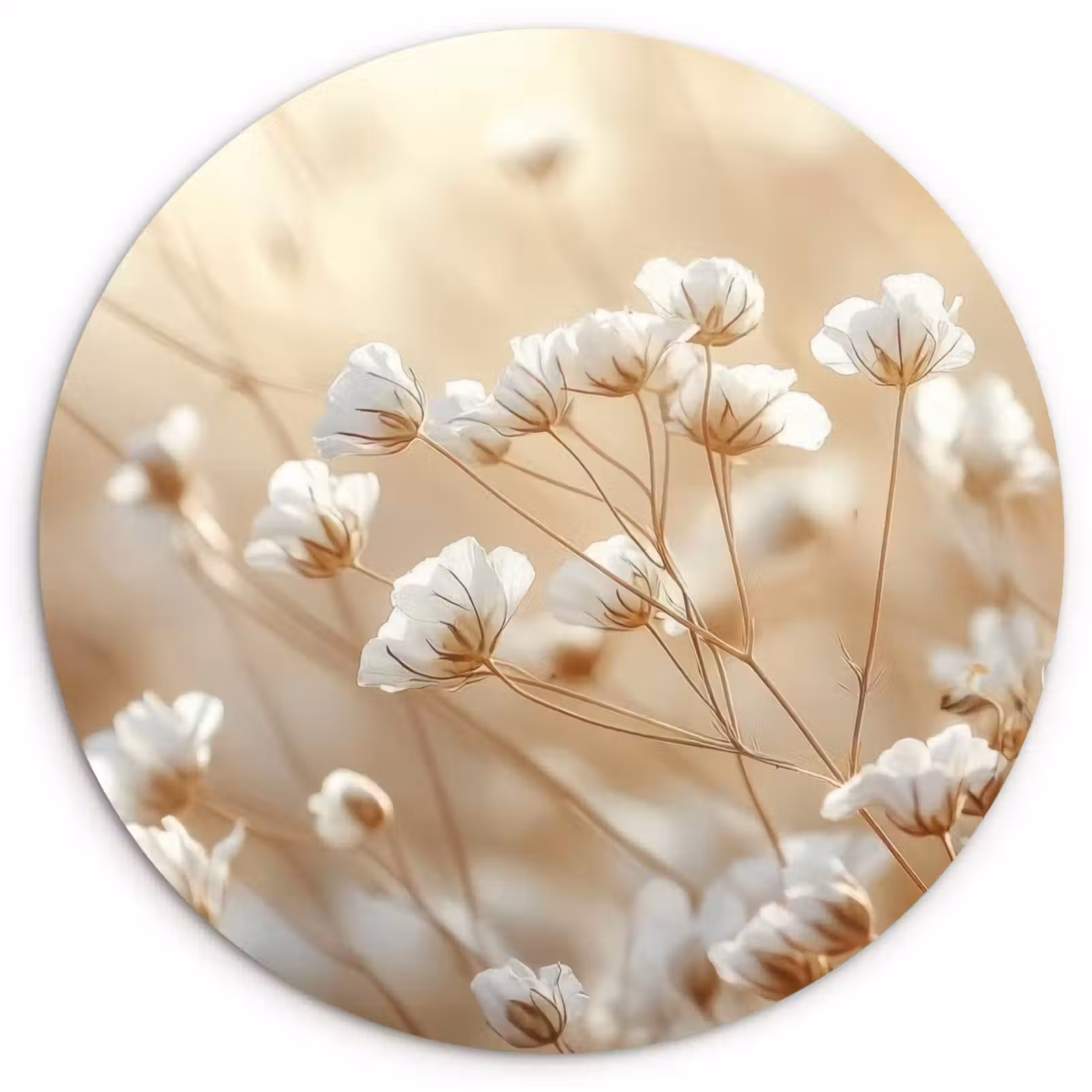 Wandcirkel - Glas - Wilde - Bloemen - Wit — 1