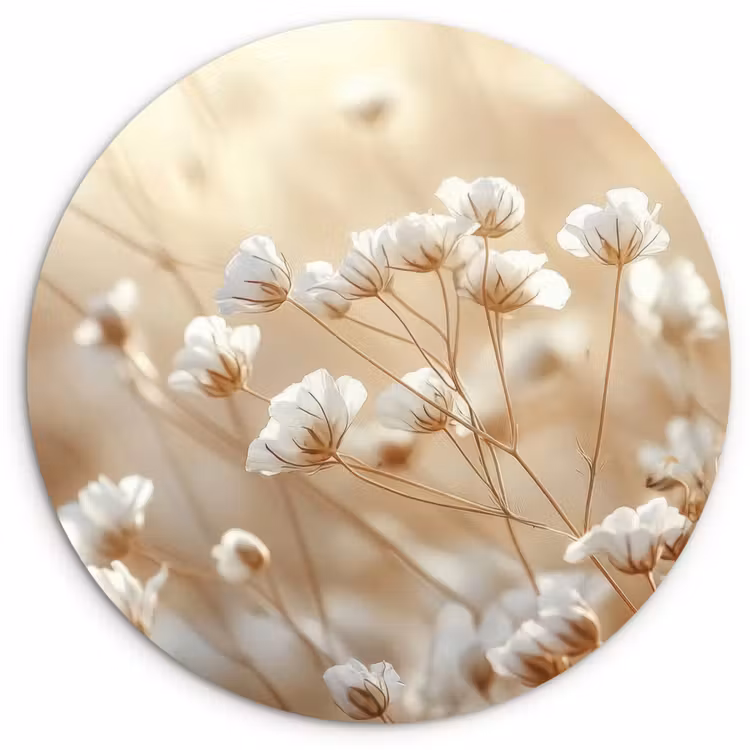 Wandcirkel - Glas - Wilde - Bloemen - Wit — 1