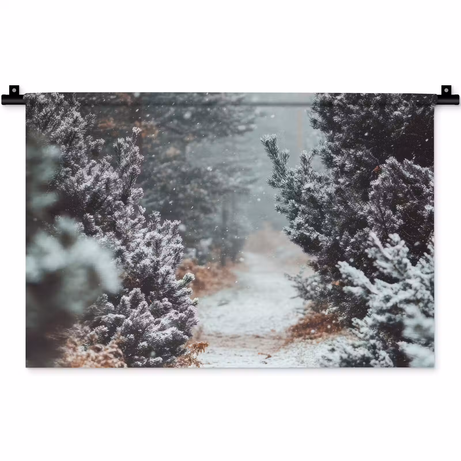 Wandkleed - Bos - Winter - Bomen - Natuur - Pad - Sneeuw — 1