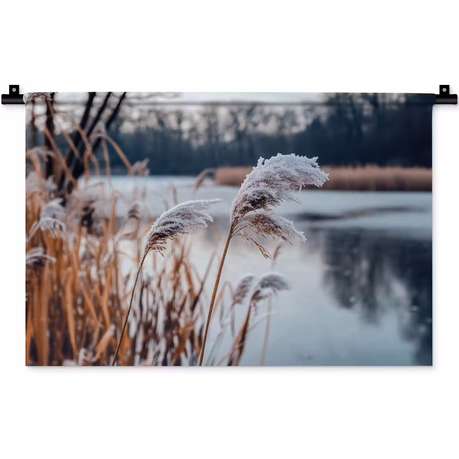 Wandkleed - Riet - Gras - Natuur - Winter - Meer — 1