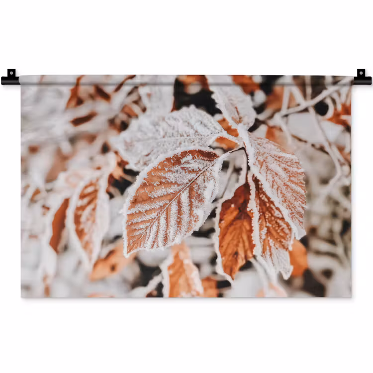Wandkleed - Bladeren - IJs - Winter - Natuur — 1