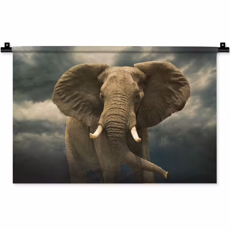 Wandkleed - Afrikaanse olifant tegen de donkere wolken — 1