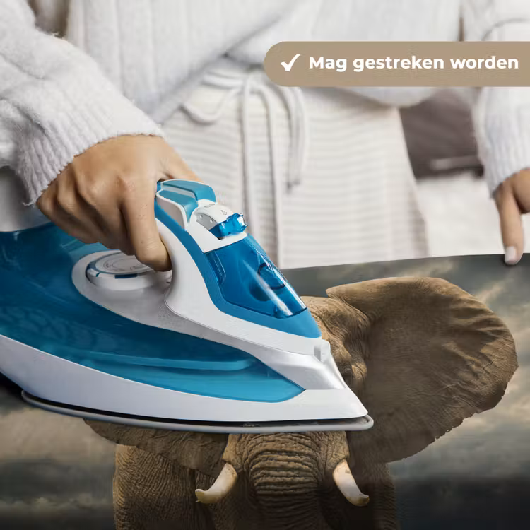 Wandkleed - Afrikaanse olifant tegen de donkere wolken — 6