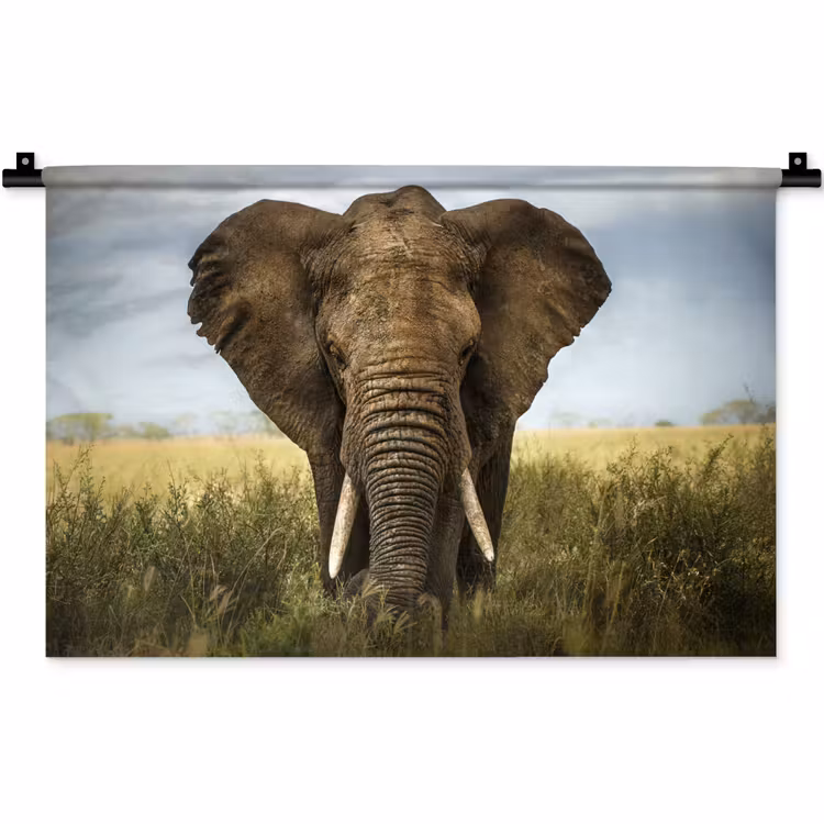 Wandkleed - Olifant - Natuur - Gras - Dieren - Landschap — 1