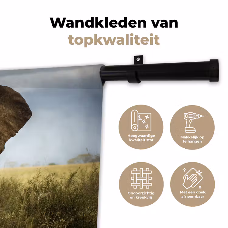 Wandkleed - Olifant - Natuur - Gras - Dieren - Landschap — 3