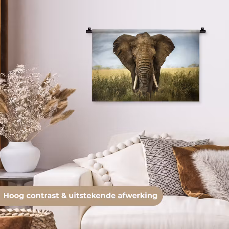 Wandkleed - Olifant - Natuur - Gras - Dieren - Landschap — 4