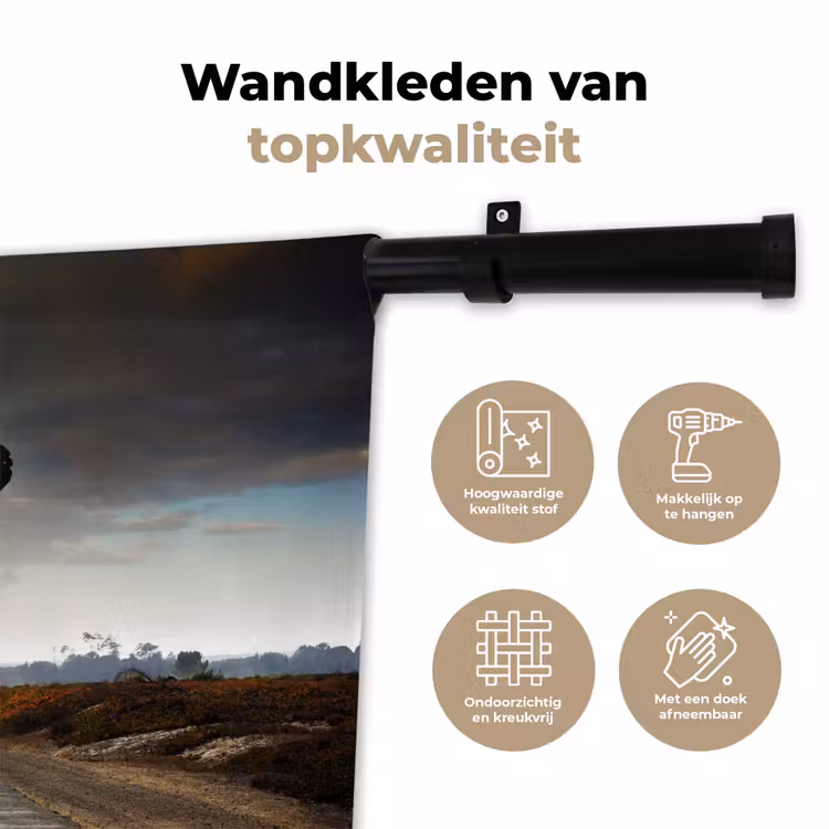 Wandkleed - Olifant - Weg - Dieren - Zonsondergang - Landschap — 3
