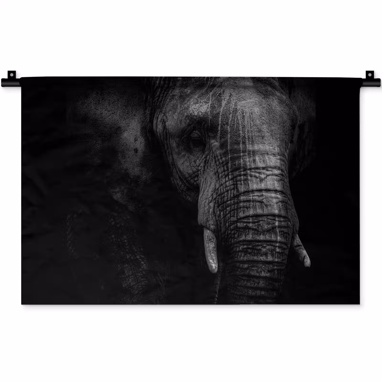 Wandkleed - Olifant - Dier - Portret — 1