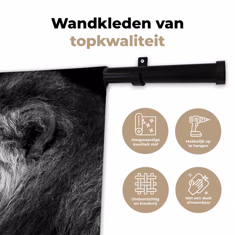 Wandkleed - Leeuw tegen zwarte achtergrond in zwart-wit — 3