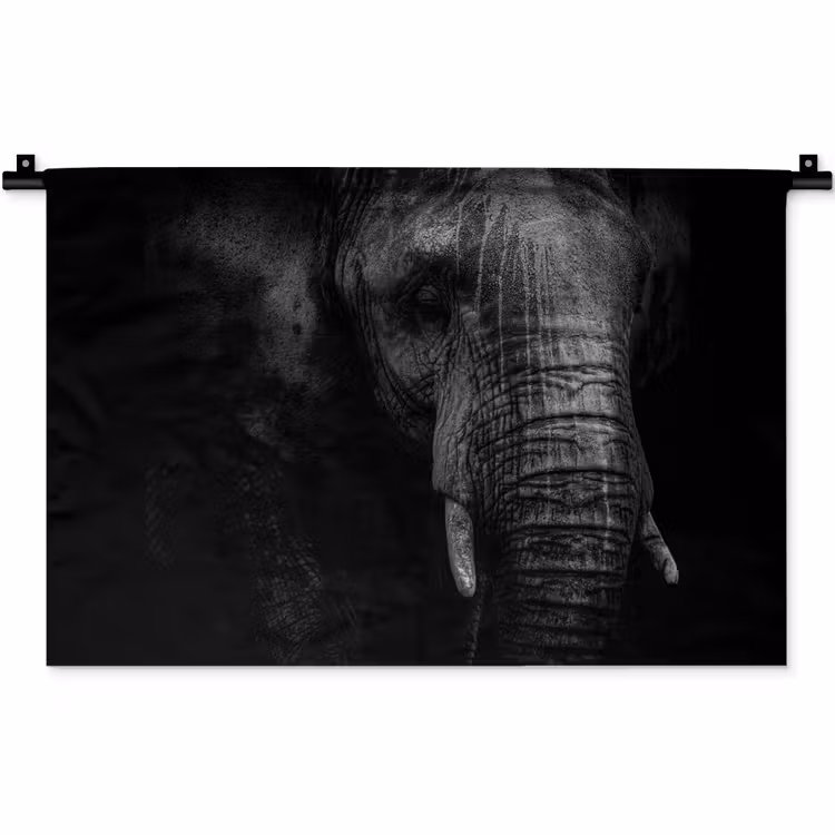 Wandkleed - Olifant - Dier - Portret — 1