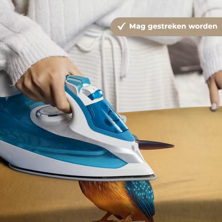 Wandkleed - Ijsvogel - Pilaar - Koksmuts - Vogel — 6