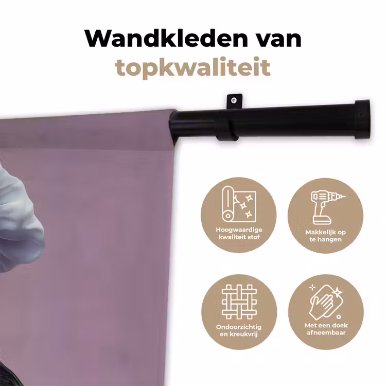 Wandkleed - Papegaai - Koksmuts - Nieuwsgierig - Vogel — 3