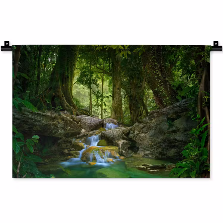 Wandkleed - Jungle - Stenen - Water - Natuur - Planten — 1