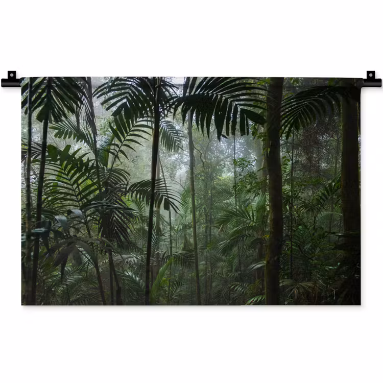 Wandkleed - Regenwoud - Tropisch - Jungle - Bomen - Planten — 1