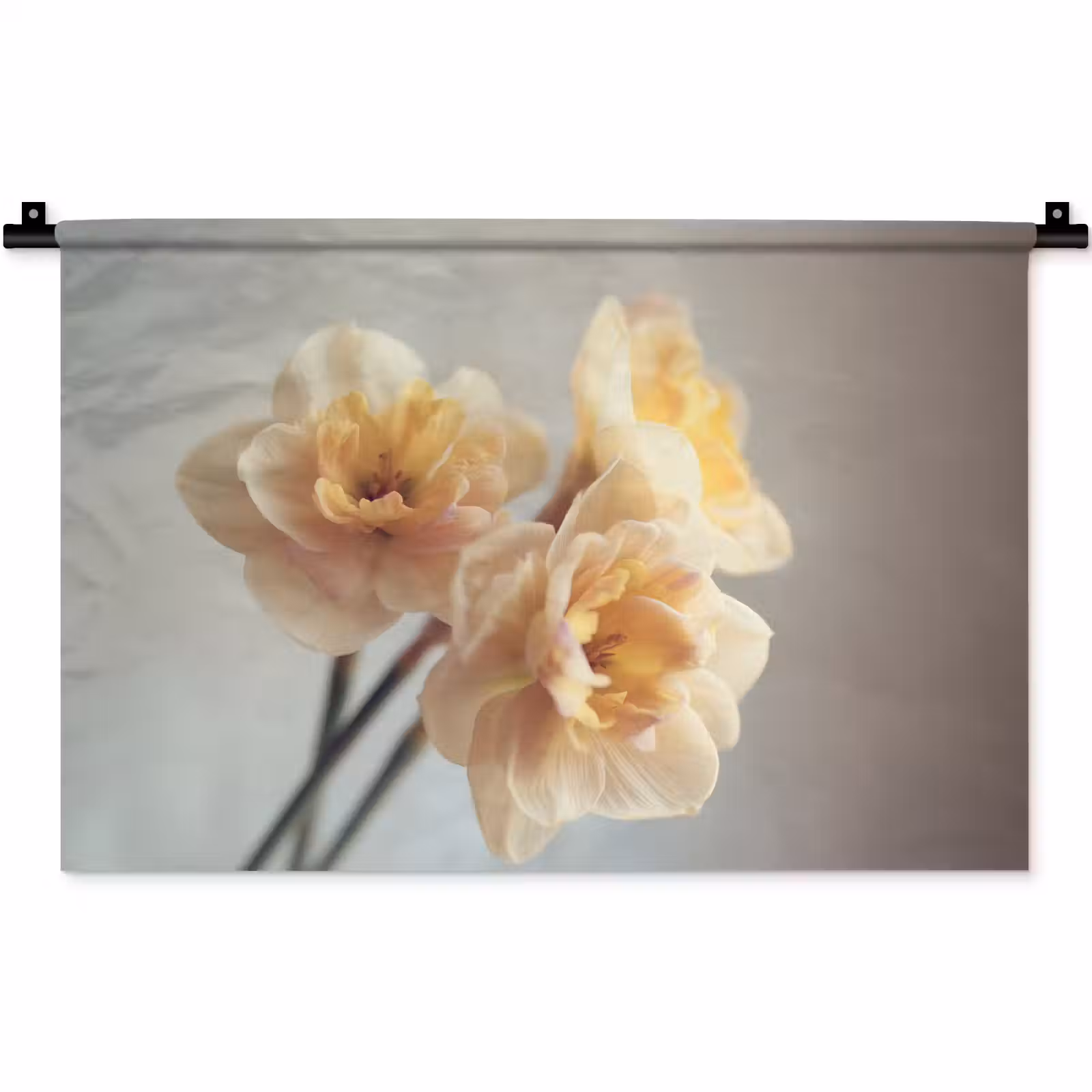 Wandkleed - Narcissen - Geel - Bloemblaadjes — 1