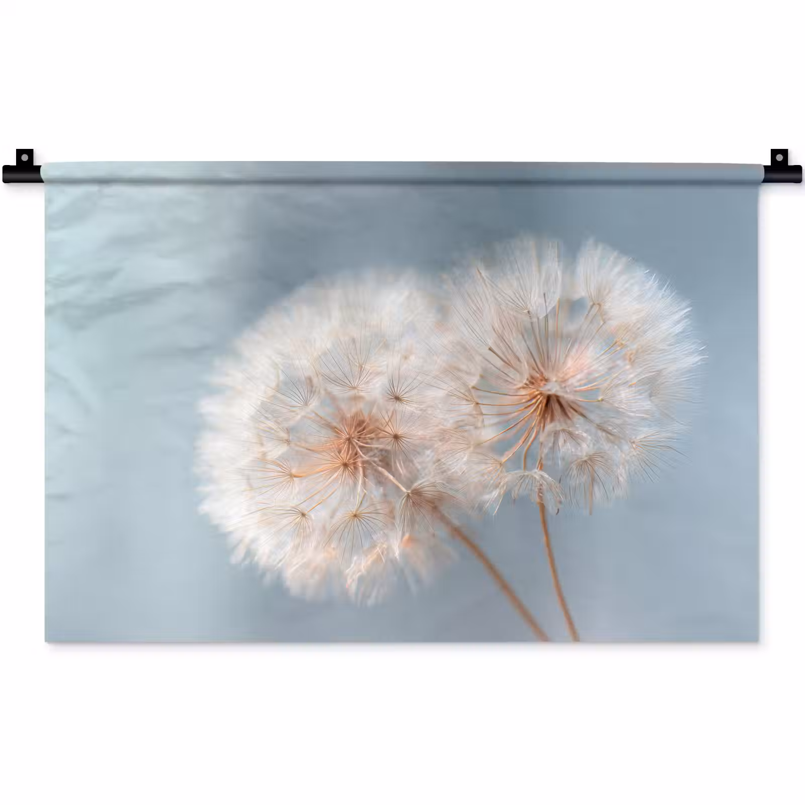 Wandkleed - Paardenbloemen - Pluisjes - Wit — 1