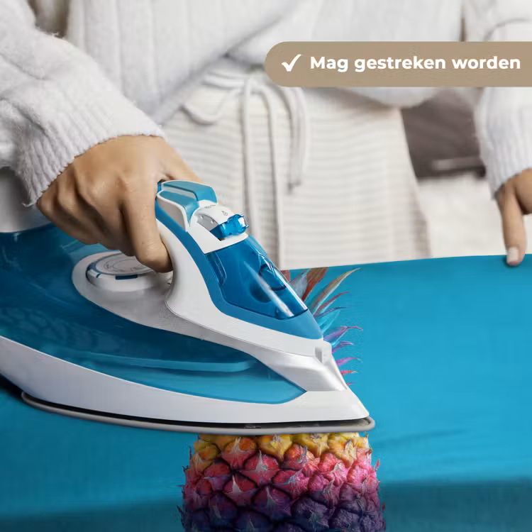 Wandkleed - Ananas - Regenboog - Blauw - Popart — 6